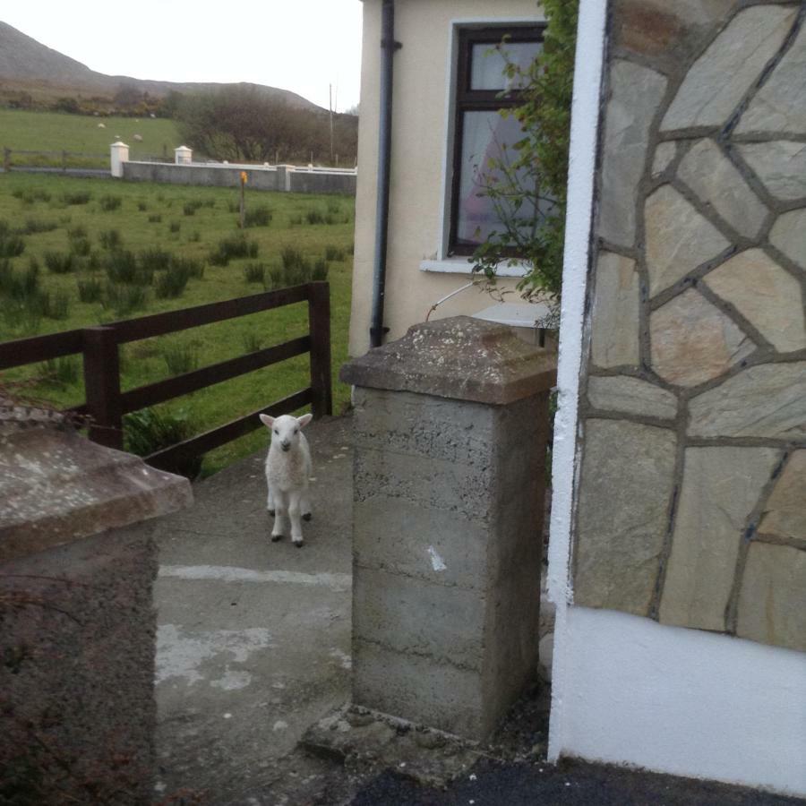 Sea View Chalet Kilsallagh Westport Co Mayo Buitenkant foto